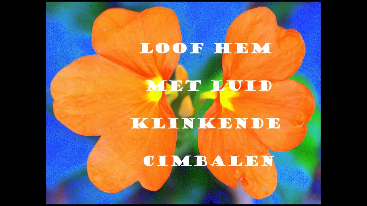 Loof de Heere, mijn ziel!. - YouTube