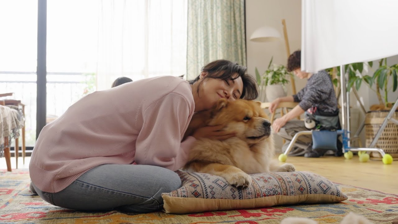 松嶋 菜々子 犬