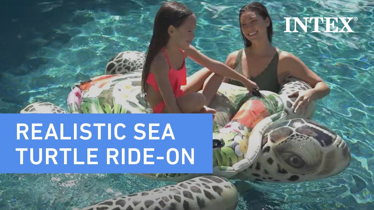 Intex® Realistic Sea Turtle Ride-On - YouTube