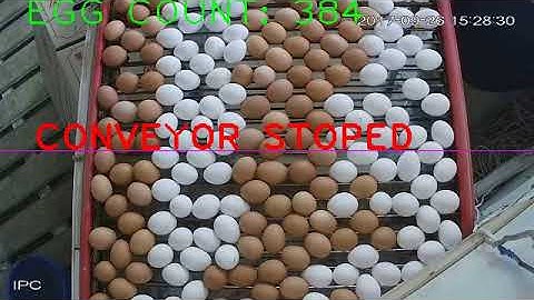 Test of egg detection with opencv