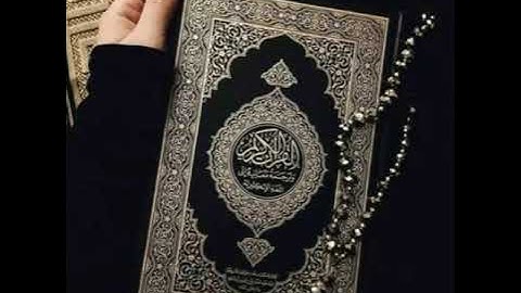 القارئ يوسف السعيد سورة القلم تلاوة رائعة