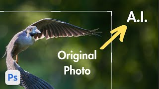 UNCROP Your Bird Photos With Photoshop's NEW Generative Fill Tool?
