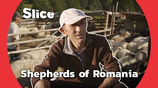 Being a Shepherd in Romania | SLICE