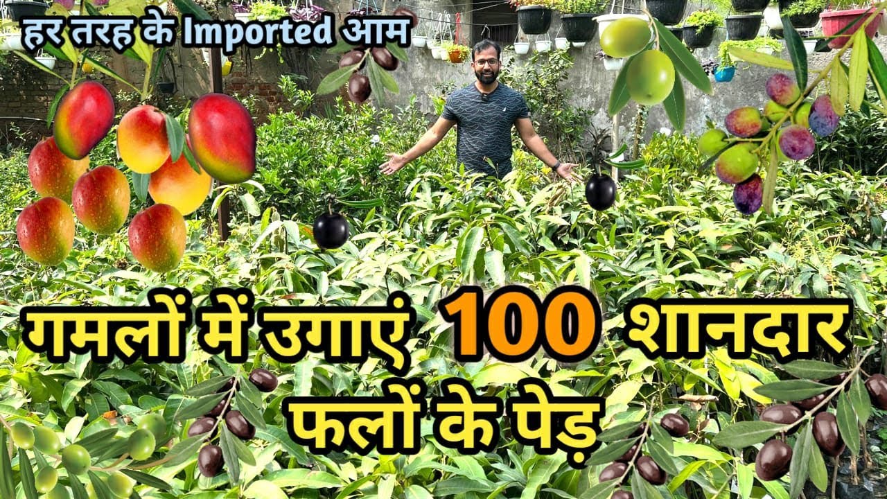 100 100 Best Fruit Plants To Grow 100-100-best-fruit-plants-to-grow