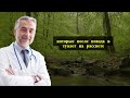 Этот Вечерний Витамин Спасает Ноги — Ты Об Этом Не Знал!
