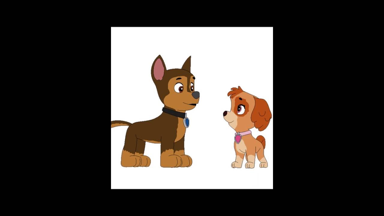 Chase x Skye everytime we touch