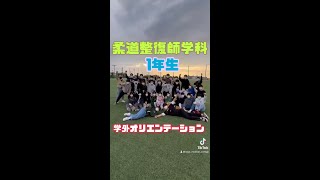 柔道整復師学科1年生学外オリエンテーション