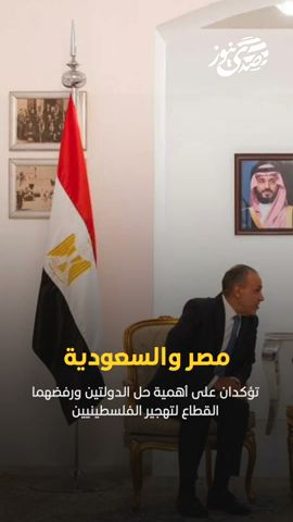 صدى نيوز | مصر والسعودية تؤكدان على أهمية حل الدولتين ورفضهما القطاع لتهجير الفلسطينيين