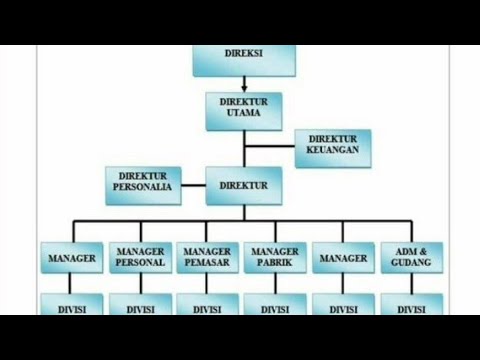 Video: Apa saja ciri-ciri struktur organisasi datar?