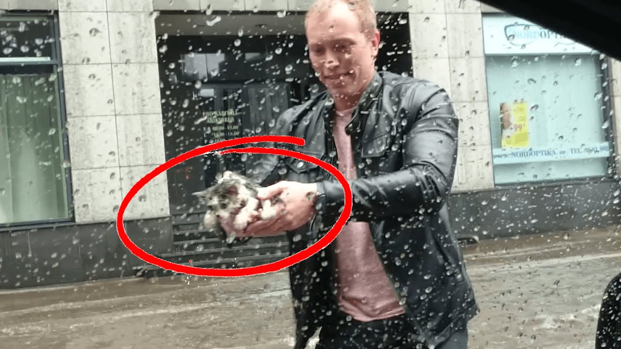 Man Saves Kitten From Flood