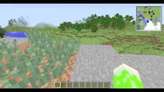 Minecraft Mod Review: Voxel Map! (First Mod Review!)