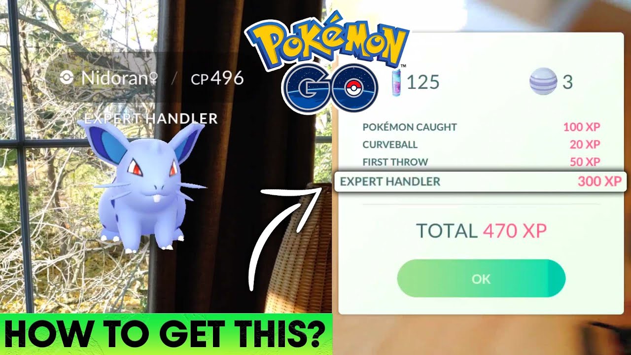 WHAT IS *EXPERT HANDLER* in POKEMON GO?