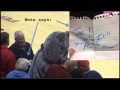 Best Tag Ever, Meng in Dog Suit Hits BD at Zag Game