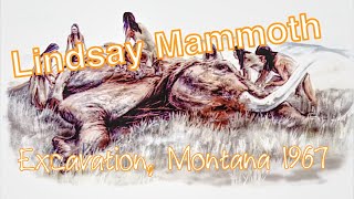 Discovery and Excavation of the Lindsay Mammoth in Montana, 1967