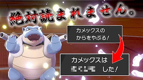 剣盾カメックス