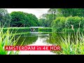 Amsterdam en 4kr marcher avec un cygne blanc le plus beau parc rembrandtpark