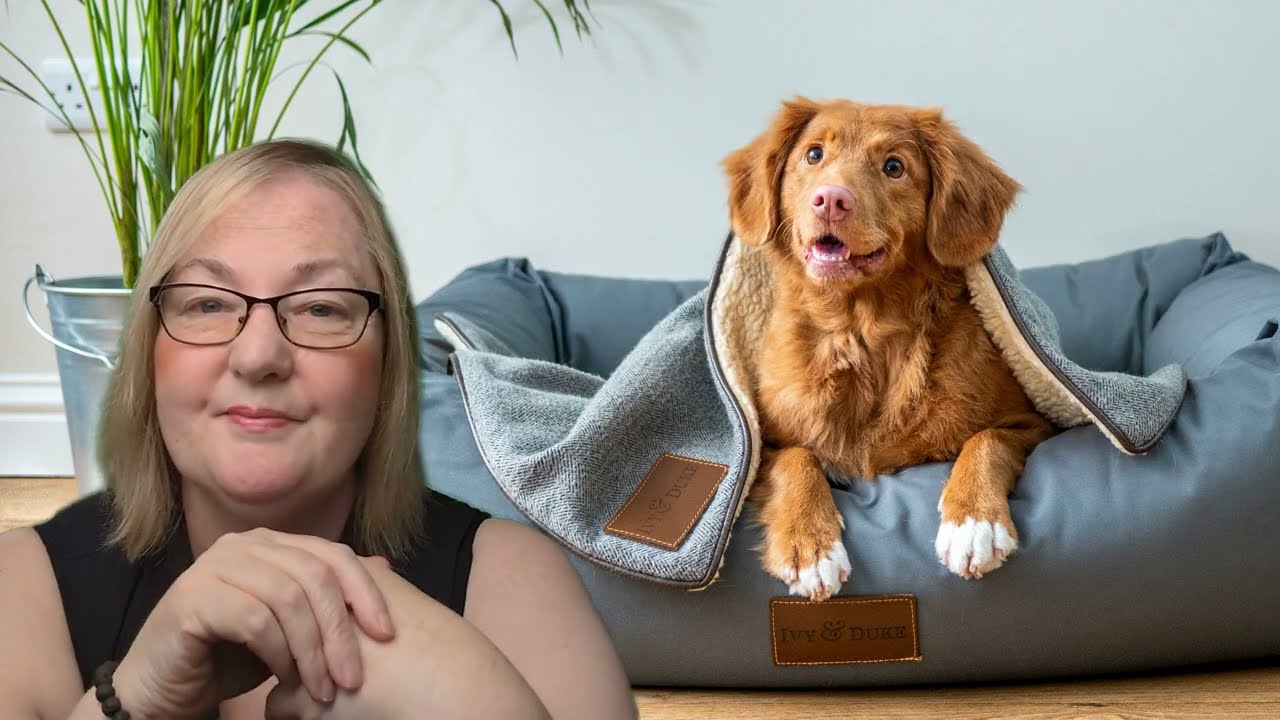 10 rules for selling with pets