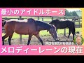最小のアイドルホース　メロディーレーンの現在…期待の母から生まれた子供が小さすぎて騒然　“競走馬は無理〟から常識外の活躍までのシンデレラストーリー