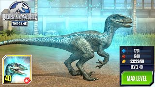 Jurassic world the game: Blue legend is never die /max evo/