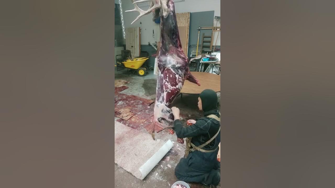 Deboning deer & Trimming YouTube