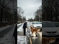 Golden Retriever Hero help Blind…He never forgot 🐆#dog #goldenretriever #goldenretrieverhero