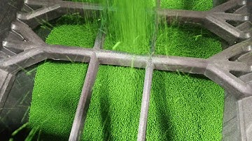 How soybean seed gets inoculated