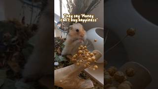 Flax Sprays = Happy Hamster