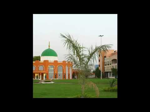 حضرة مقام الامامين الجليلين رضي الله عنهما الخميس ٢٥ اكتوبر ٢٠٢٥