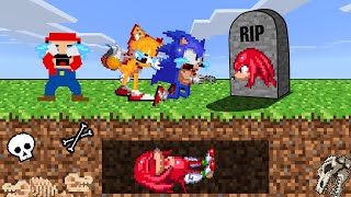 Minecraft but Friendship of Sonic, Tails, Mario, Knuckles! ! Game Animation