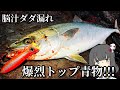 トップで青物狙うぞ!!!