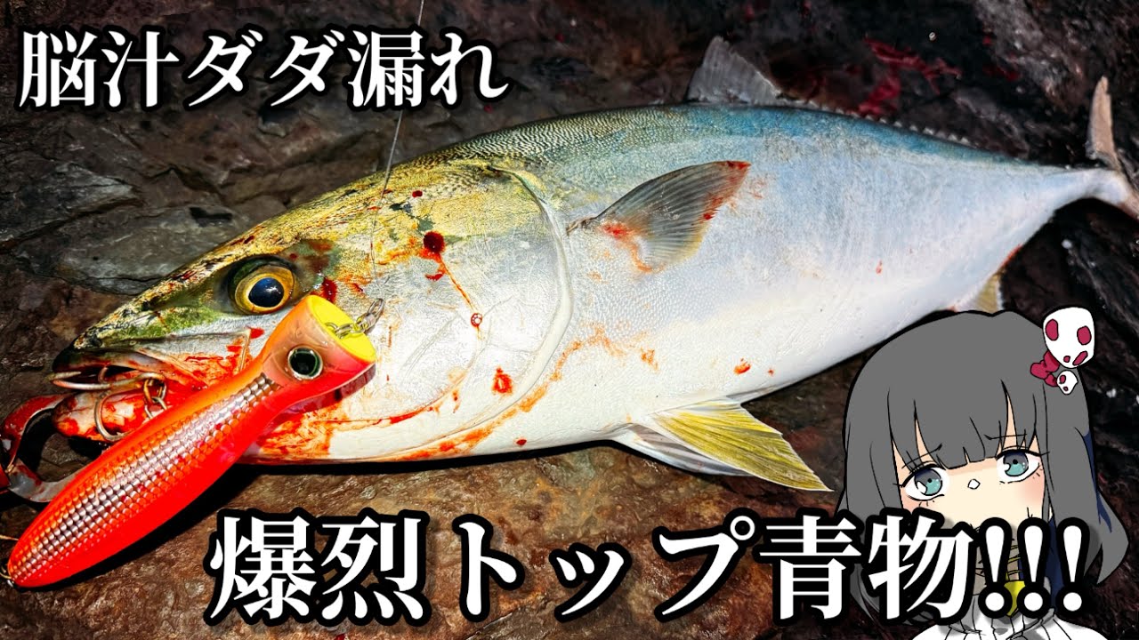トップで青物狙うぞ!!!