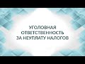 Уголовная ответственность за неуплату налогов, как и за что. Советы адвоката.