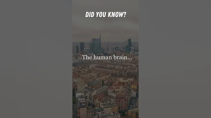 Unbelievable Fact: The Effects of Gratitude on Happiness! 🙏😊 #shorts #facts #psychologyfacts