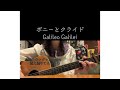 ボニーとクライド/Galileo Galilei 弾き語りカバー