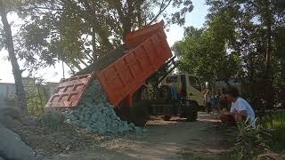 Dum truk jomplangan besar sedang bongkar muat batu raen untuk plesengan talut