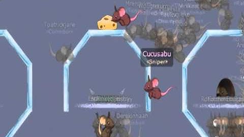 Transformice - Bruxynhu 30K