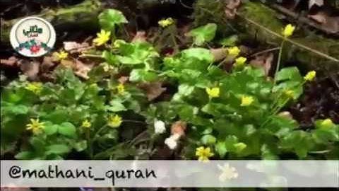 تلاوة رائعة | من سورة يونس {يا أيها الناس قد جاءتكم موعظة من ربكم وشفاء لما في الصدور} محمد اللحيدان