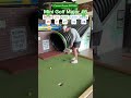 Year 3 Mini Golf Major #6 ROUND 1 (Hole 14) #golf #minigolf #viral #puttputt #major #playoffs