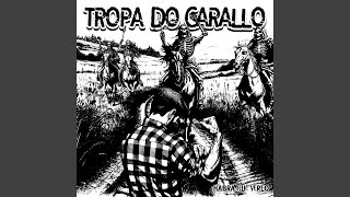 Video thumbnail of "Tropa do Carallo - Esto es serio"