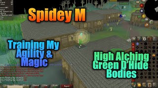Training My Agility & Magic - High Alching Green D'Hide Bodies - Making Money - OSRS