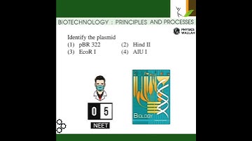 Biotechnology principles and processes class 12 #neet #neet2024