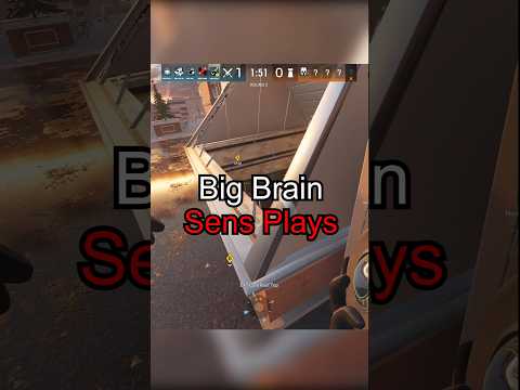 Big Brain Sens Plays