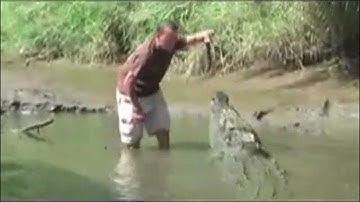 Huge Croc / Alligator nearly eats Mans Arm Off 02, Time Lapse Speed x6