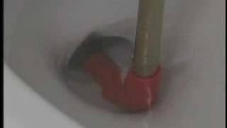 Toilet Auger