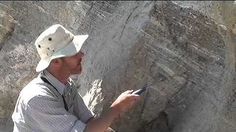 Mid crustal gneisses