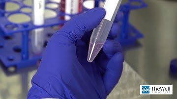 How to do 3D cell culture - 20 min with VitroGel® hydrogels