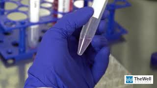 How to do 3D cell culture - 20 min with VitroGel® hydrogels