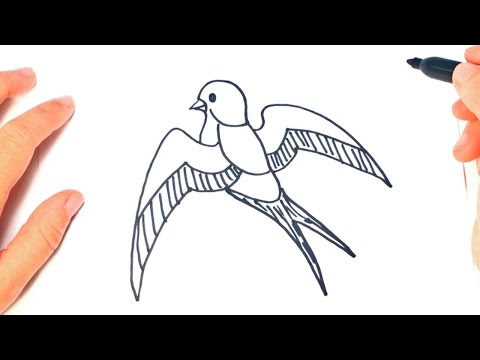 Video: Nido De Golondrina: Cómo Dibujar Un Dibujo A Lápiz