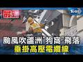 颱風吹蘆洲「狗窩」飛落 垂掛高壓電纜線｜TVBS新聞 @TVBSNEWS01