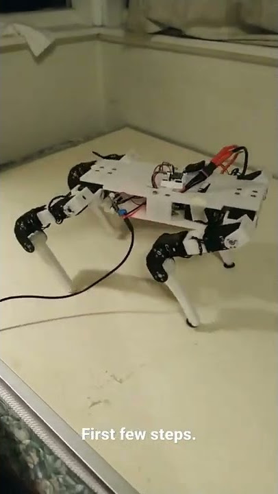 Robot Dog is learning how to walk - ROS 2 Robot